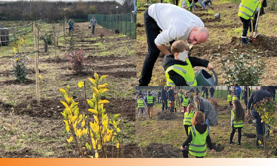Evenement du 15 novembre à Vieux-Thann